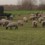 La Boheme Διαμέρισμα Saint-Valery-sur-Somme