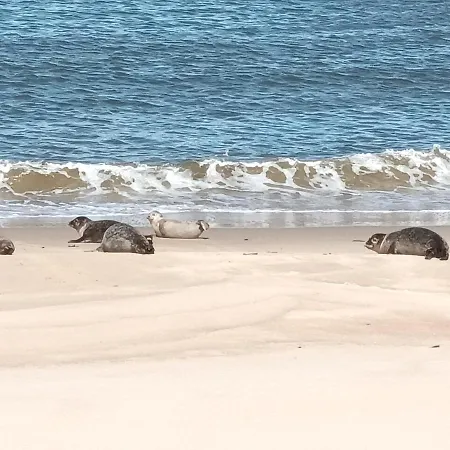 Apartment La Boheme *