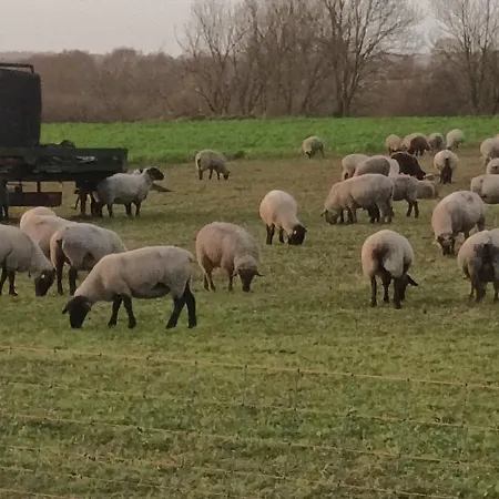 La Bohème Appartamento Saint-Valéry-sur-Somme