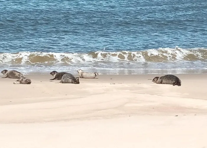 Appartamento La Bohème *